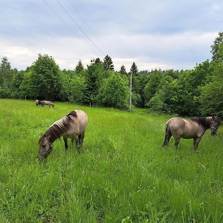 Sudecka Chata Bystrzyca Kłodzka Eksteriør bilde